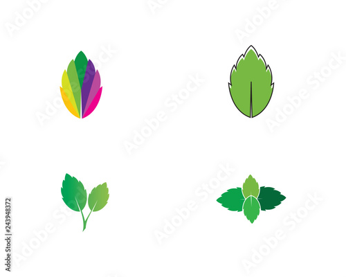 papermint leaf illustration vector