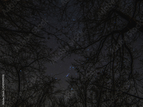 Starry Night with Constellation Orion