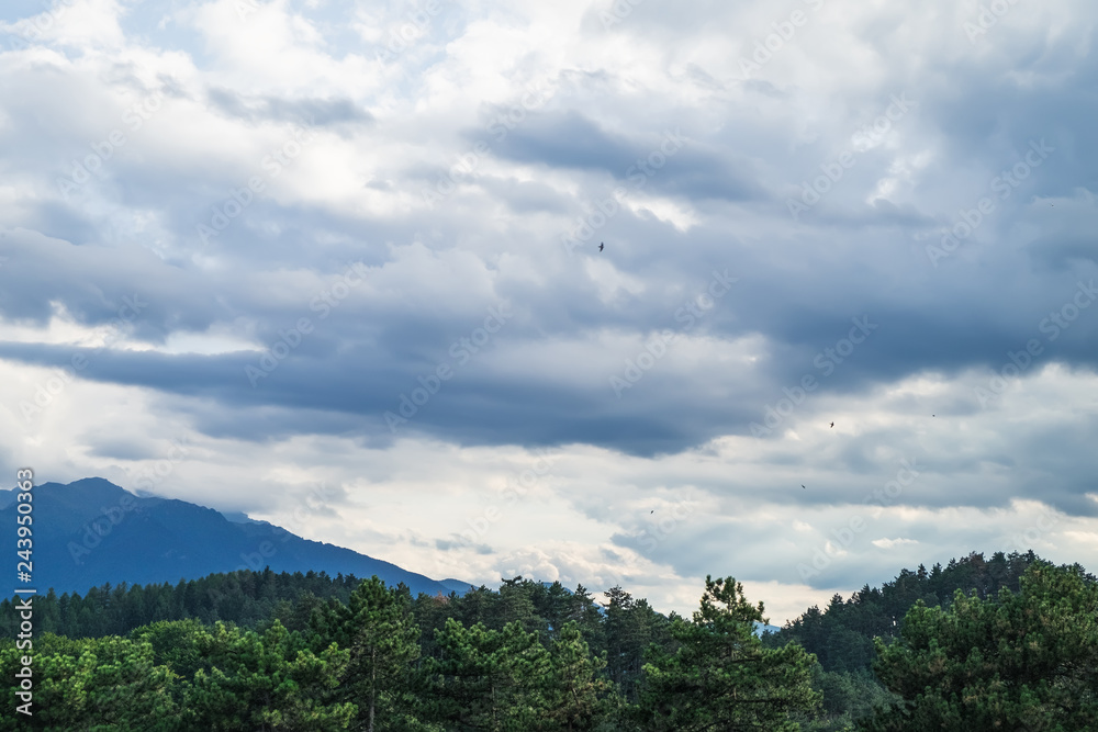 A typical natural landscape in the country of Brasov: green forest and mountains on the horizon under cloudy sky, Romania.