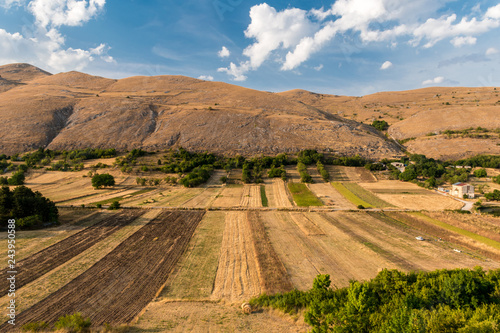 Lentils field in Abruzzo, near Santo Stefano di Sessanio photo