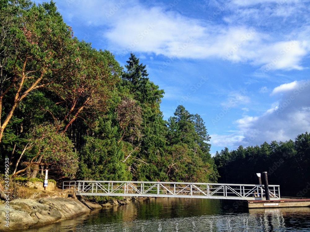 The view of a small dock and ramp leading to the shore of a beautiful island full of Arbutus trees.  This is Wallace Island, in the Gulf Islands, British Columbia, Canada