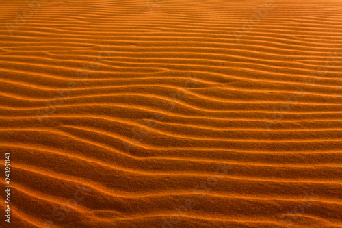 Dune in the desert, sculpted by the wind. Sand Texture.