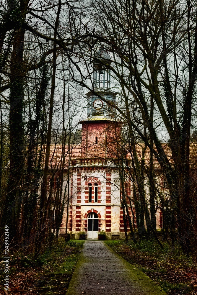 Obraz premium Une maison dans une foret 