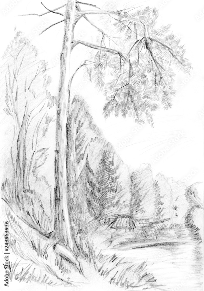 Forest Sketch Wood Print by David Pyatt - Pixels