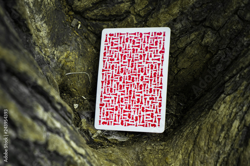 Playing Cards on the Ground