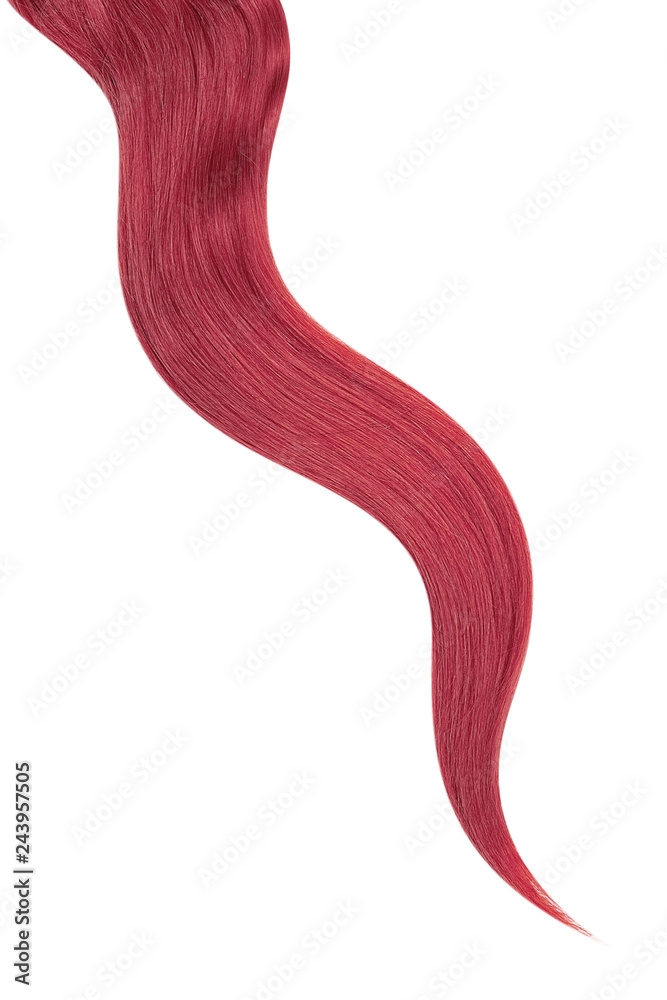 Long wavy pink hair isolated on white background Long wavy pink hair isolated on white background
