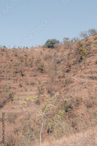 Nature near the beautiful City of Rishikesh in India © SmallWorldProduction