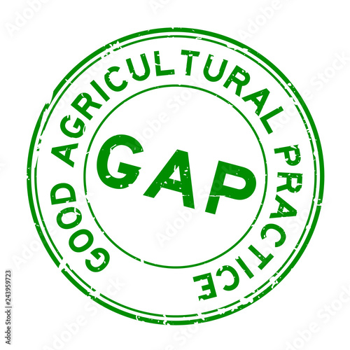 Grunge green GAP (abbreviation of good agricultural practice) word round rubber seal stamp on white background