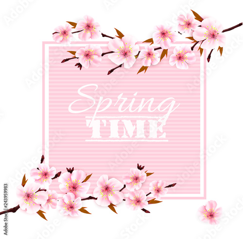 Nature spring background with cherry blossoms. Vector.