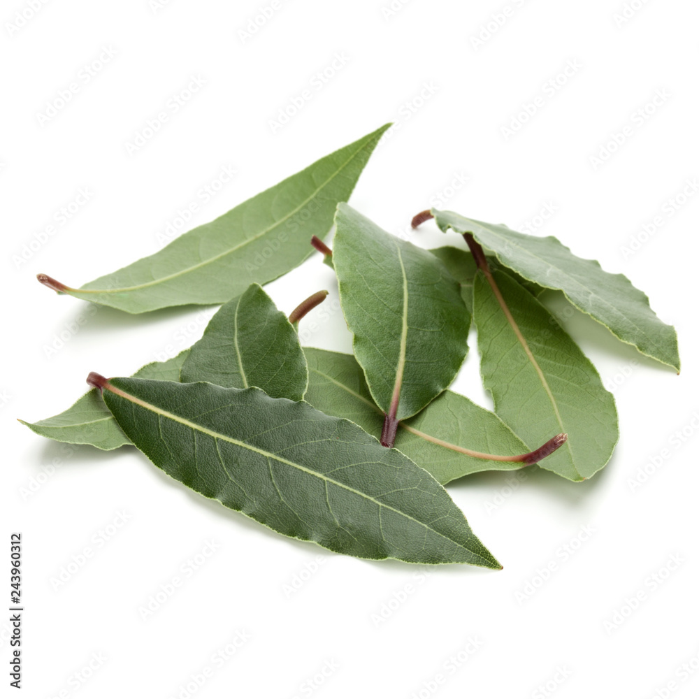Obraz premium Aromatic bay leaves