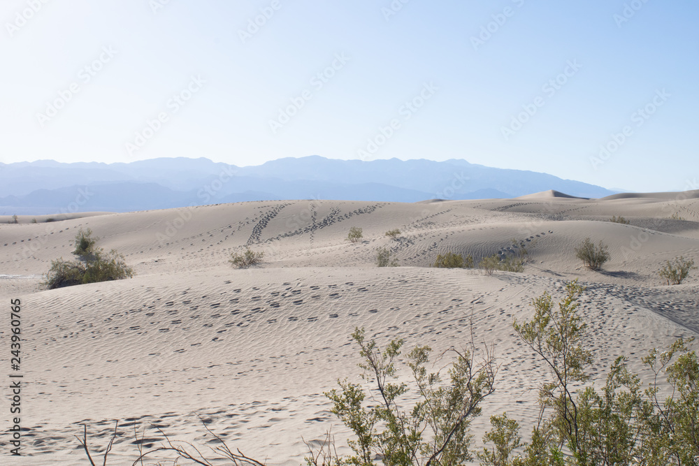 Fußspuren an Mesquite Flat Sand Dunes, Tal des Todes, Kalifornien, USA