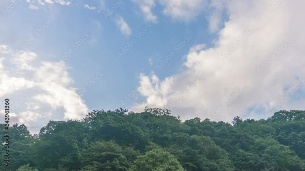 Timelapse of Vibrant Cloudscape over Rush Forest in Japan -Zoom Out- Timelapse of Vibrant Cloudscape over Rush Forest in Japan -Zoom Out-