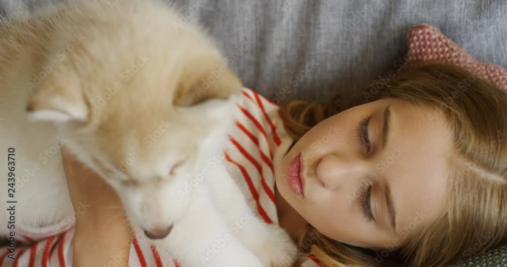 View from above on the Caucasian teenager girl lying and resting on the grey sofa with kittycat and husky puppy. Inside. View from above on the Caucasian teenager girl lying and resting on the grey sofa with kittycat and husky puppy. Inside.