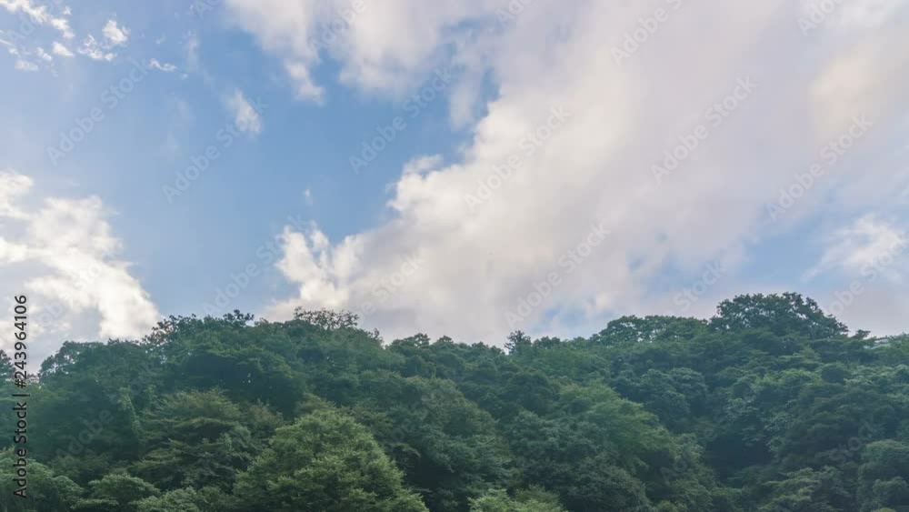 Timelapse of Vibrant Cloudscape over Rush Forest in Japan -Pan Left- Timelapse of Vibrant Cloudscape over Rush Forest in Japan -Pan Left-