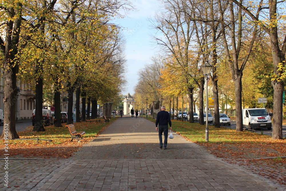 Herbstliches Potsdam 