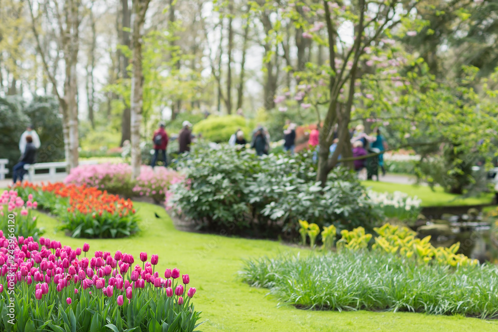 Royal flower park Keukenhof, blurred tourists in the background. Lisse, Netherlands.