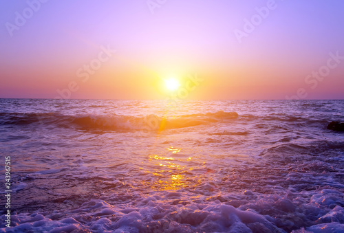 sunshine morning sunrise spring concept