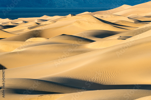Fototapeta Naklejka Na Ścianę i Meble -  sand dunes in the desert