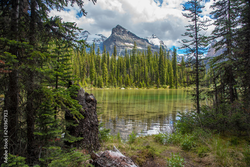 Lake Ohara hiking trail in cloudy day in Spring, Yoho, Canada