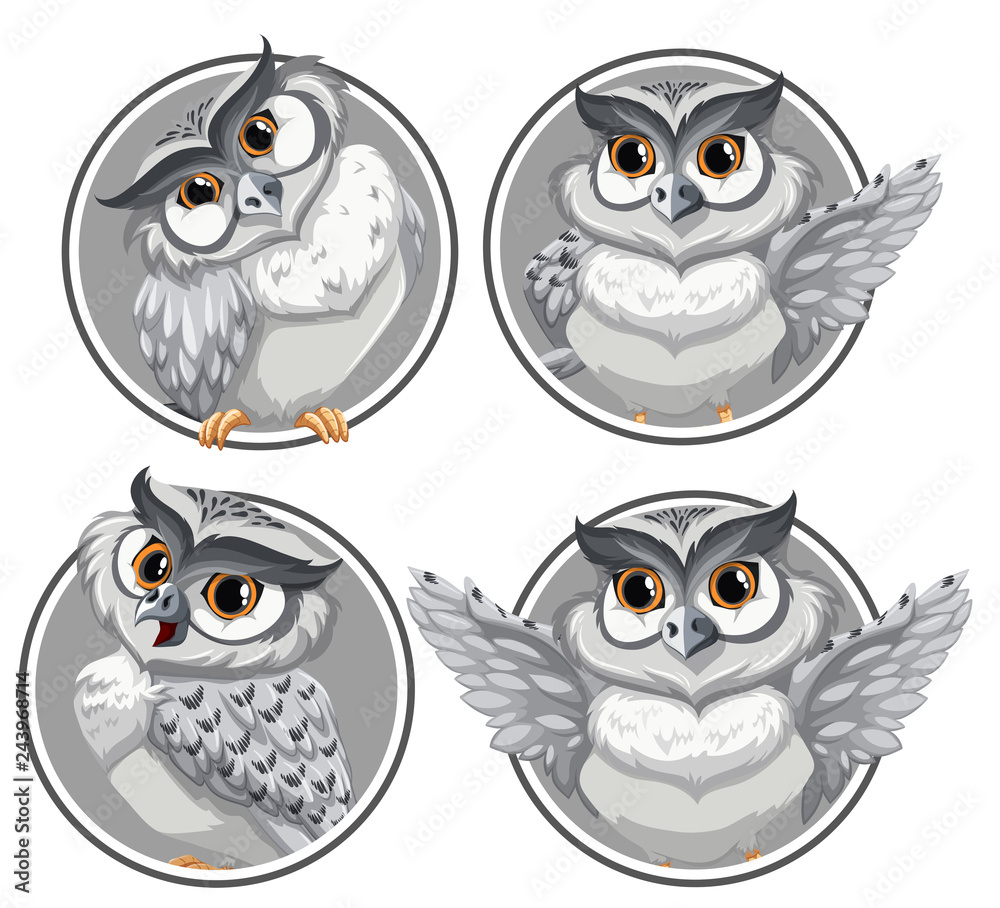 Naklejka premium Set of owl on circle template
