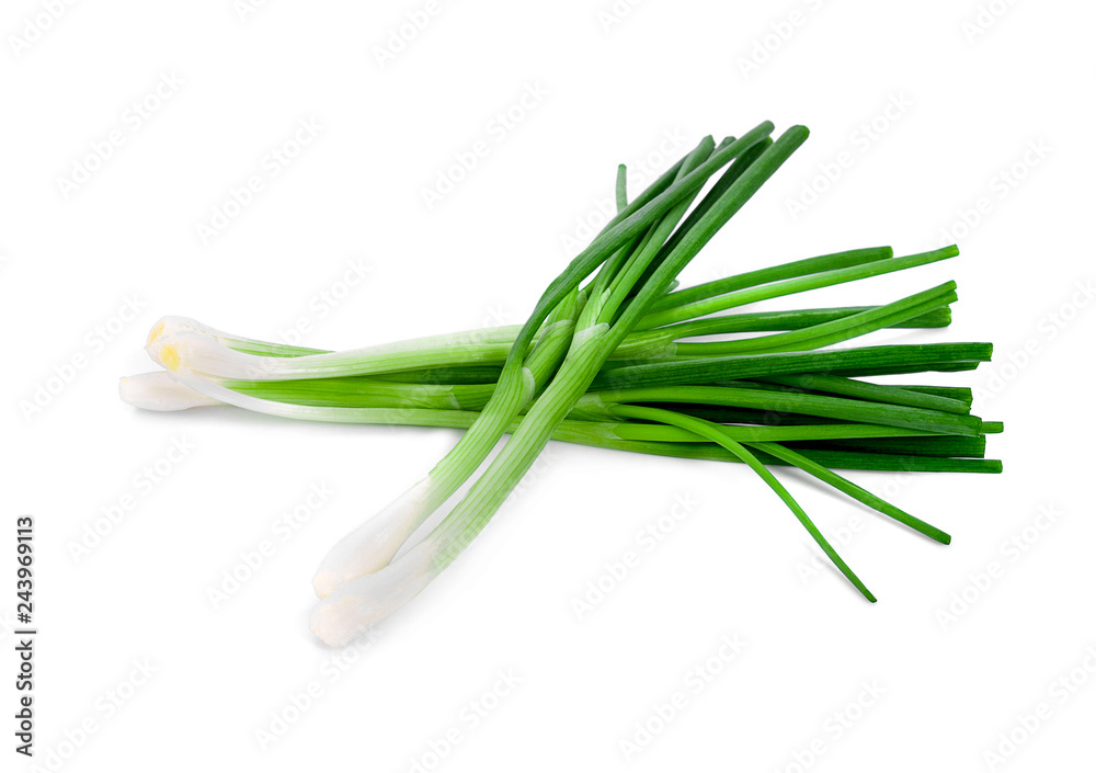 fresh scallion isolated on white background fresh scallion isolated on white background