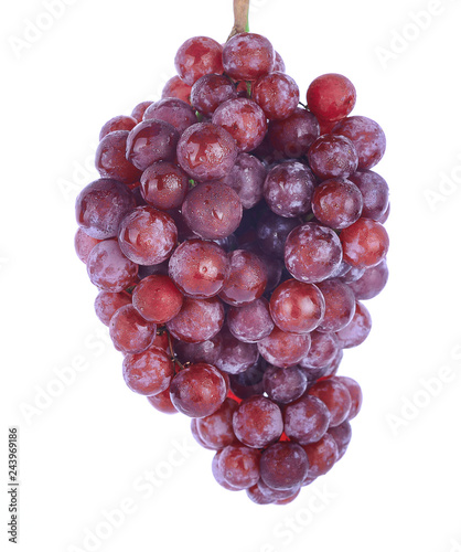 Wallpaper Mural Red grapes isolated on white background Torontodigital.ca