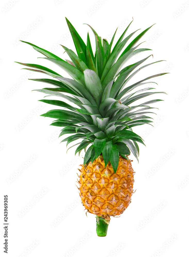 Fototapeta premium pineapple isolated on white background