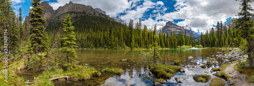 Fototapeta Naklejka Na Ścianę i Meble -  Lake Ohara hiking trail in cloudy day in Spring, Yoho, Canada