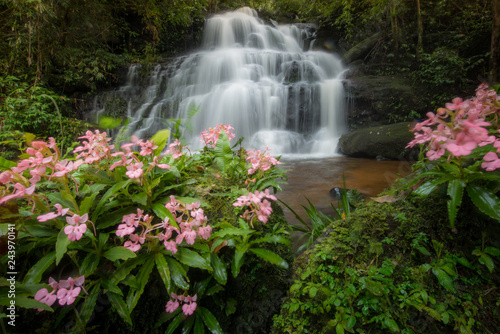 The beautiful landscape of Mun Daeng waterfalls in rainforest of Phu Hin Rong Kla national park, Phitsanulok province of Thailand. In August you can see the beautiful pink snapdragon flowers.