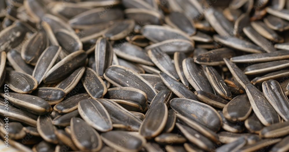 Pile of sunflower seed