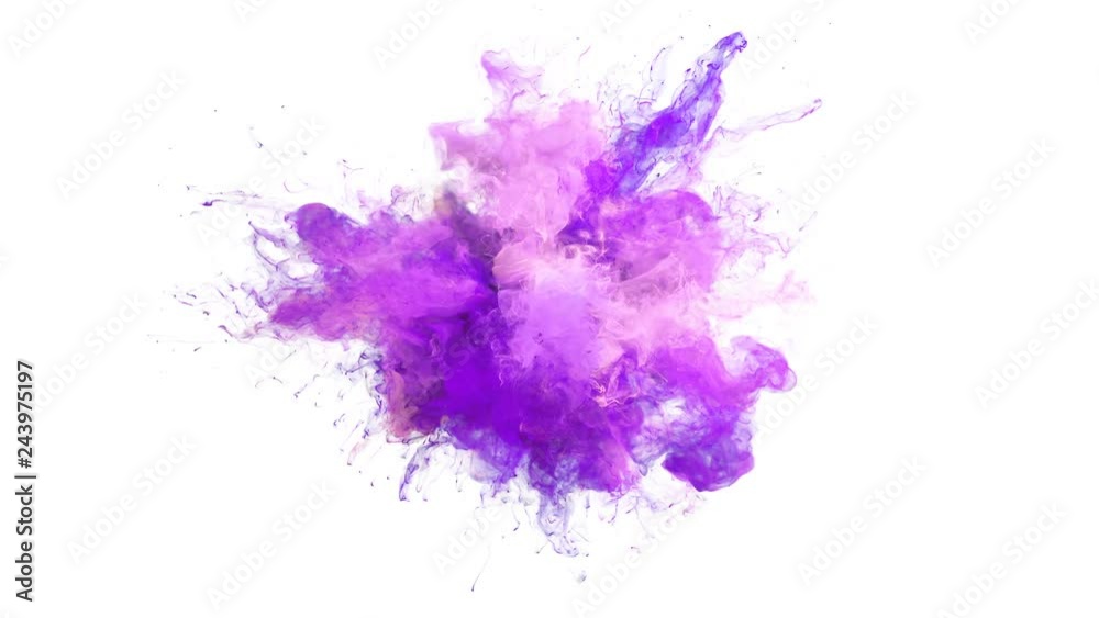 Purple Pink Color Burst - colorful smoke explosion fluid particles alpha matte