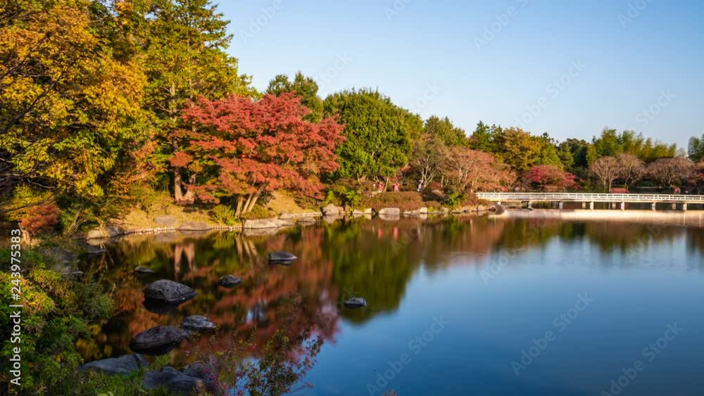 Timelapse of Reflective Pond and Fall Foliage in Japan -Zoom In- Timelapse of Reflective Pond and Fall Foliage in Japan -Zoom In-