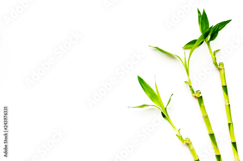 Asia background. Chinese  japanese background. Bamboo branch on white background top view space for text