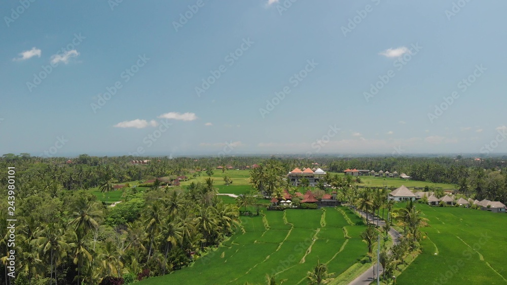 4K aerial flying video of green grass background, palms and road with cars and scooters. Bali island.