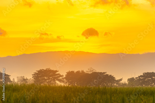 Beautiful sunrise view © goldquest