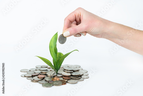 Concept of money tree growing from money
