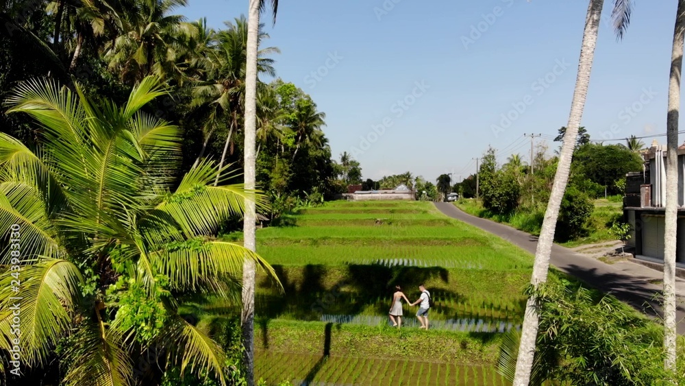 4K Aerial drone shot of tourists on vacation walking the path in rice paddy terrace fields on Bali island. 4K Aerial drone shot of tourists on vacation walking the path in rice paddy terrace fields on Bali island.