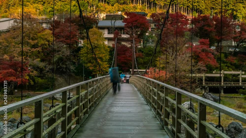 Timelapse of Suspension Bridge with Fall Foliage in Japan -Close Up-