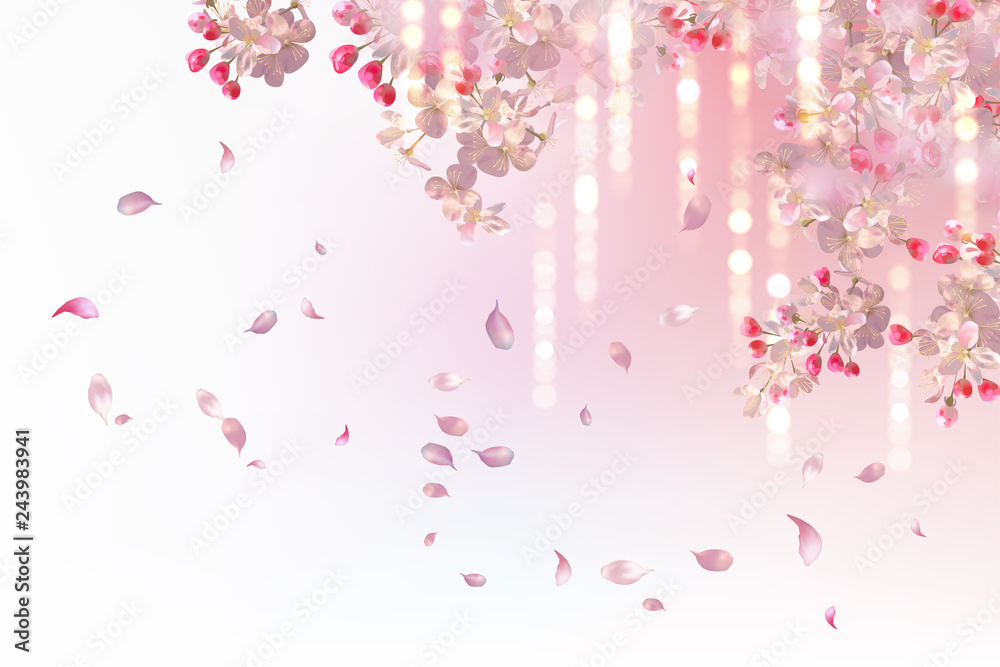 Fototapeta premium Spring Blossom Background