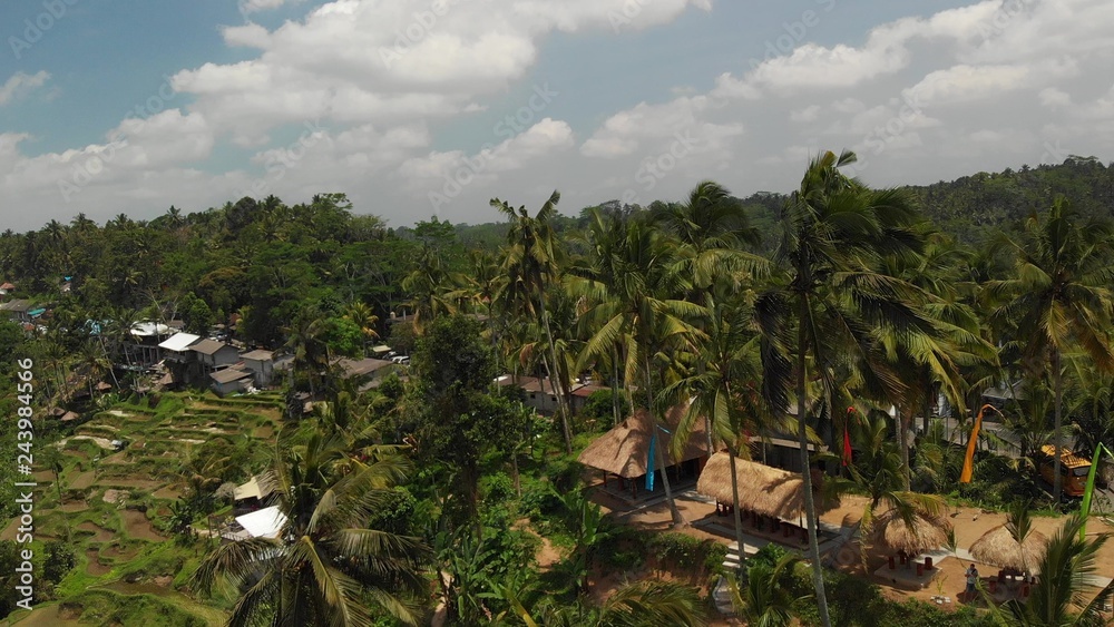 custom made wallpaper toronto digital4K aerial drone photo of tropical amazing rice fields on Bali island.