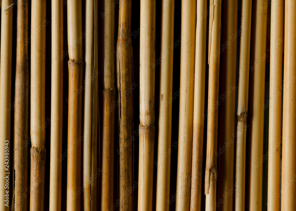 Fototapeta premium Close up of bamboo texture pattern backgrounds