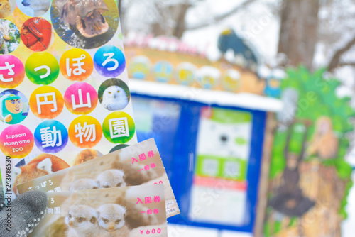 円山動物園　パンフレット