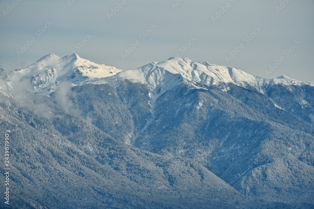 Panorama of snowy mountains. Winter forest and rocky peaks in the snow. Sunny winter day.