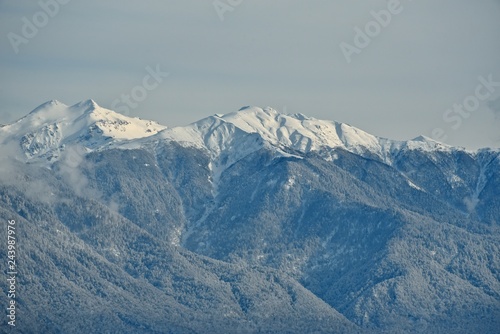 Panorama of snowy mountains. Winter forest and rocky peaks in the snow. Sunny winter day. © German