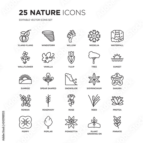 Set of 25 nature linear icons such as Ylang-ylang, Windstorm, Willow, Wedelia, Waterfall, Sunset, Sakura, Protea, Poplar, vector illustration of trendy icon pack. Line icons with thin line stroke.