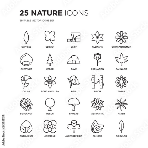 Set of 25 nature linear icons such as Cypress, Clover, Cliff, Clematis, Chrysanthemum, Cannabis, Zinnia, Aster, Anemone, vector illustration of trendy icon pack. Line icons with thin line stroke.