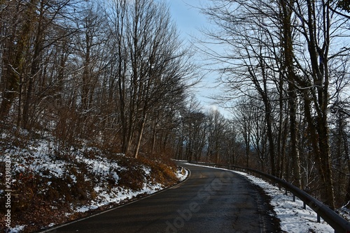 Road in the winter forest. No one. Snow on the branches of trees. Winter sunny day. © German