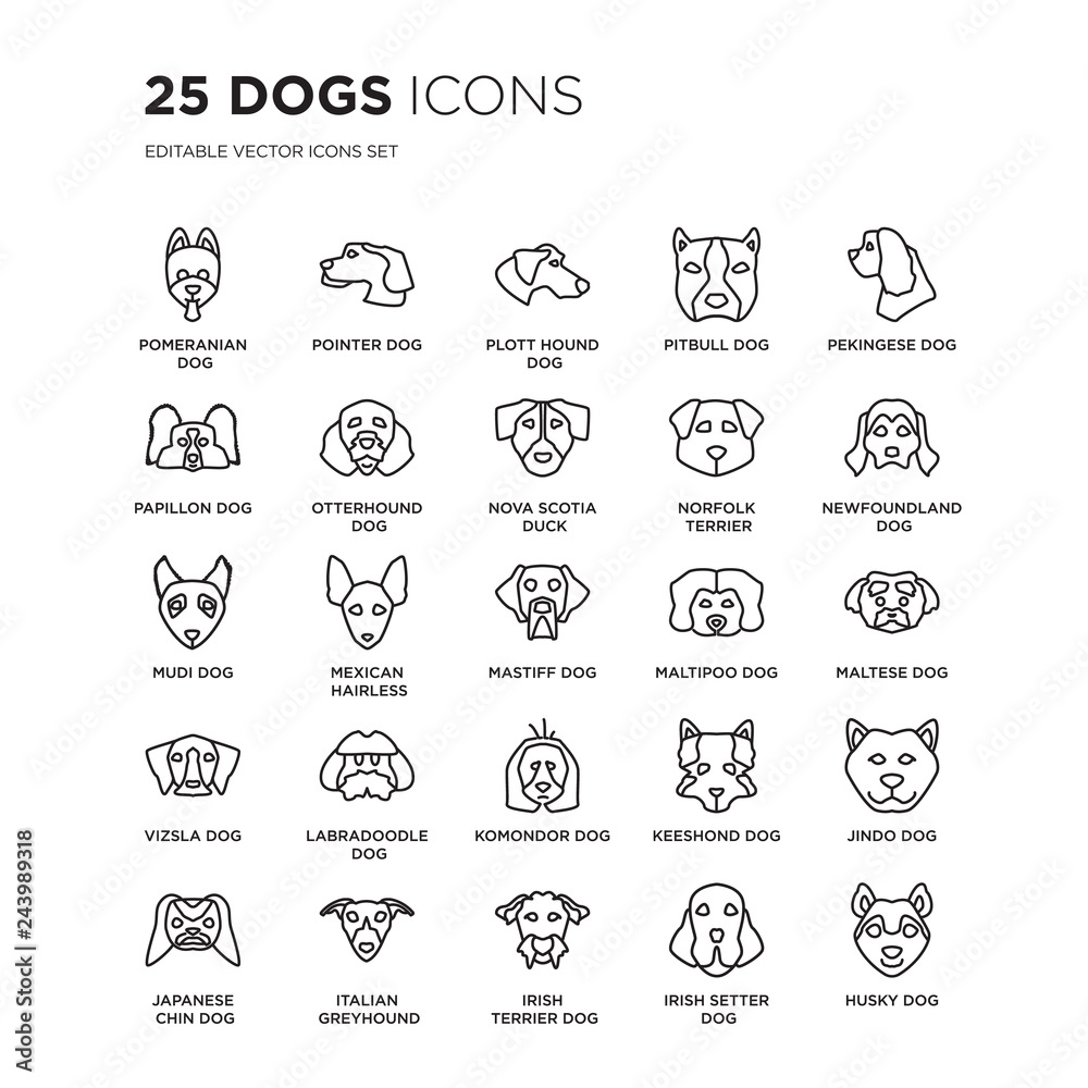 Set of 25 dogs linear icons such as Pomeranian dog, Pointer Plott Hound Pitbull Pekingese Newfoundland dog, vector illustration of trendy icon pack. Line icons with thin line stroke. Set of 25 dogs linear icons such as Pomeranian dog, Pointer Plott Hound Pitbull Pekingese Newfoundland dog, vector illustration of trendy icon pack. Line icons with thin line stroke.