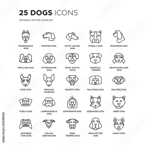 Set of 25 dogs linear icons such as Pomeranian dog, Pointer Plott Hound Pitbull Pekingese Newfoundland dog, vector illustration of trendy icon pack. Line icons with thin line stroke.
