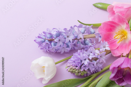 beautiful flowers on paper background